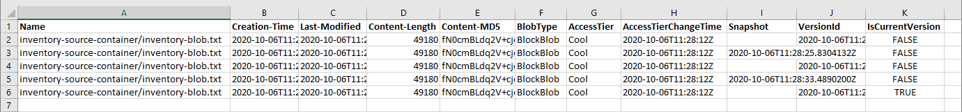 Снимок экрана: CSV-файл инвентаризации, открытый в Microsoft Excel