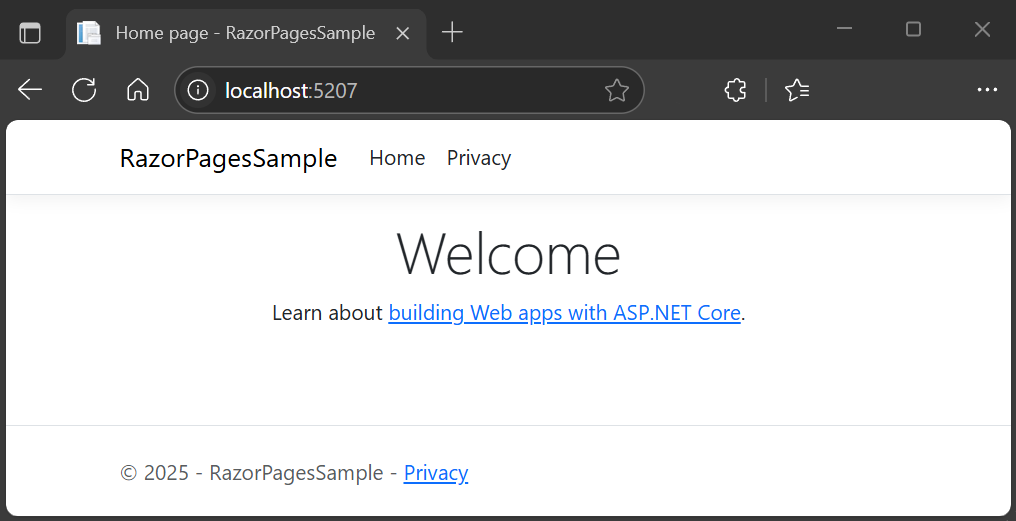Web 应用主页