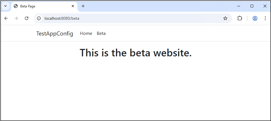 gin Web 应用 beta 页面的屏幕截图。