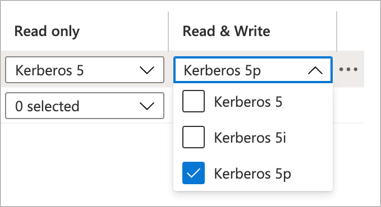 Kerberos 安全选项