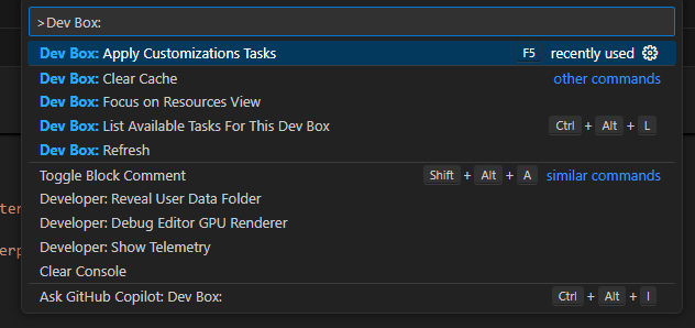 Visual Studio Code 中“应用自定义任务”选项的屏幕截图。