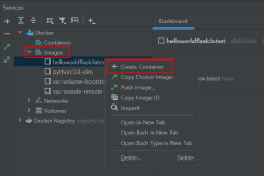 显示如何在 PyCharm 中从 Docker 映像启动容器的屏幕截图。
