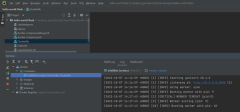 显示在 PyCharm 中运行容器的示例的屏幕截图。