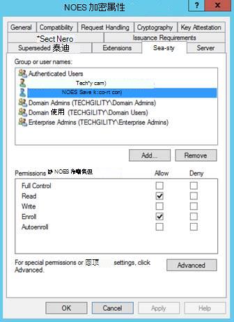 模板，“安全”选项卡
