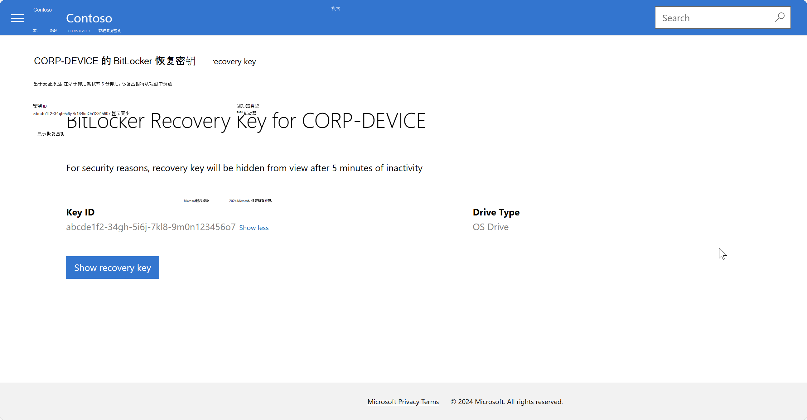 Intune 公司门户 网站上的 BitLocker 恢复密钥页的示例屏幕截图。