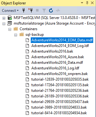 SQL Server Management Studio 的 Azure 容器存储浏览器的屏幕截图，其中显示了新数据库的数据和日志文件。