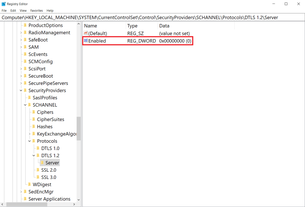 默认禁用 DTLS 1.2 的 Windows Server 注册表设置的屏幕截图。