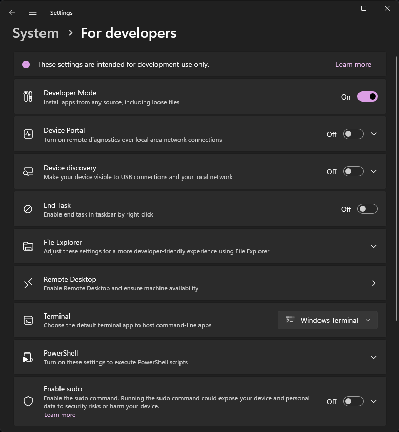 面向开发人员的 Windows 设置屏幕的屏幕截图